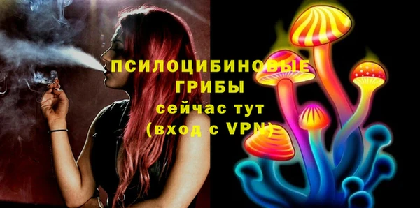 меф Арсеньев