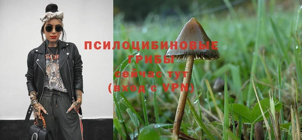 прущие крисы Аркадак