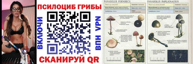 Галлюциногенные грибы мухоморы  кракен ссылки  Светлогорск 